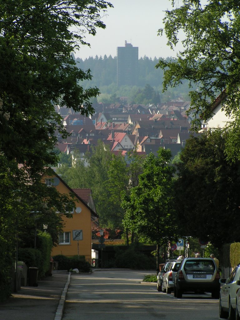 Freudenstadt, in der Hartranftstraße by RDZfds