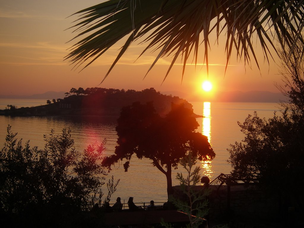 Hacıfeyzullah, Güvercinada Sk., 09400 Kuşadası/Aydın, Turkey by birdıslander