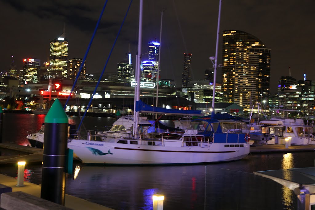 Night-view in Docklands, Melbourne by Rodgers66