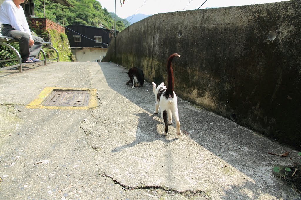 Friend,Houtong,Taiwan by tamawe