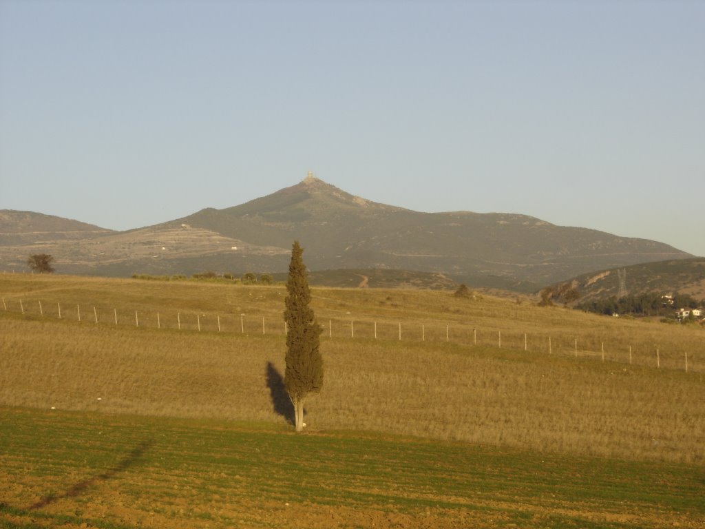 View on Mount Chortiati from Thermi seen by Udo H. Winter