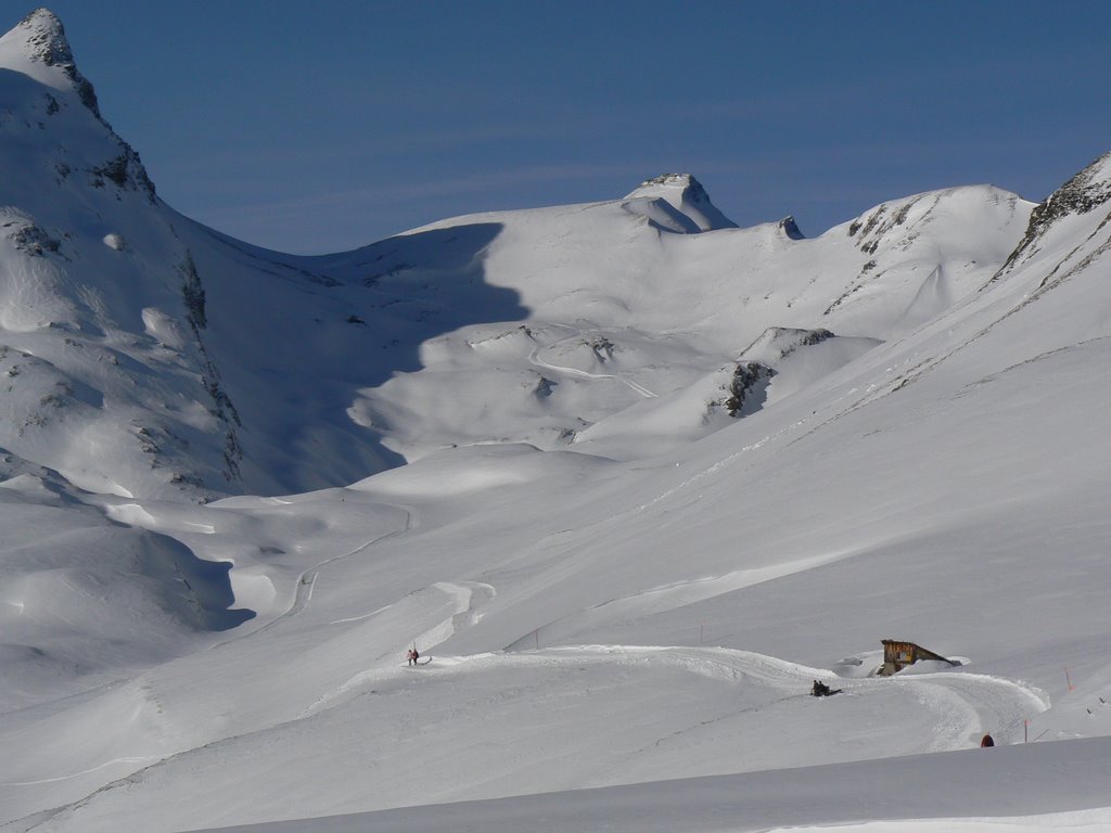 Excursion invernal por el valle de Grindelwald by msotomayor