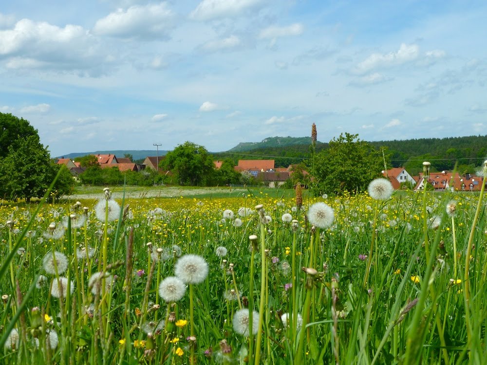 Frühling in der Fränkischen by uwe_64