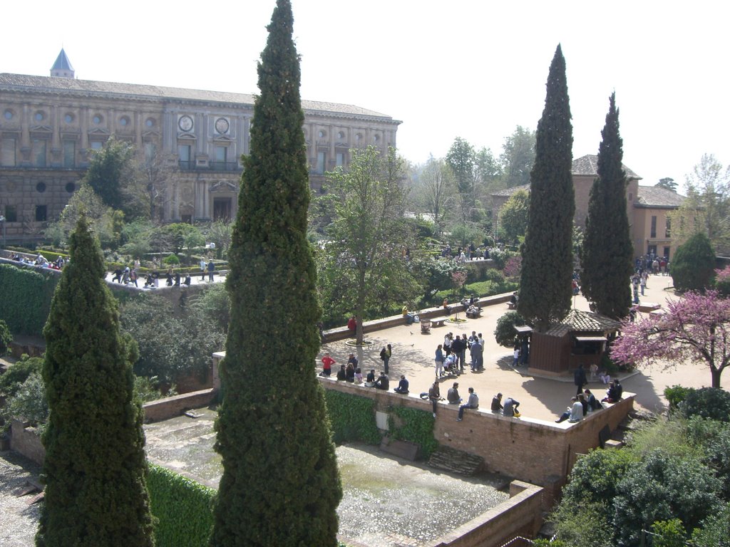 Palacio de Carlos V desde la Alcazaba by Evaristo Rodriguez M…