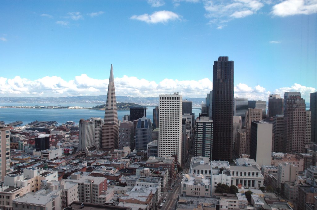 San Francisco Skyline by Stefano Conte