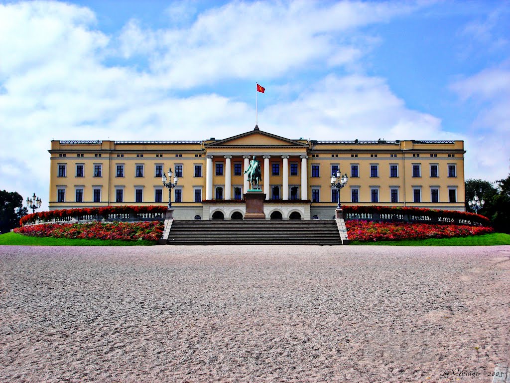 Royal Palace of Oslo by Veitinger