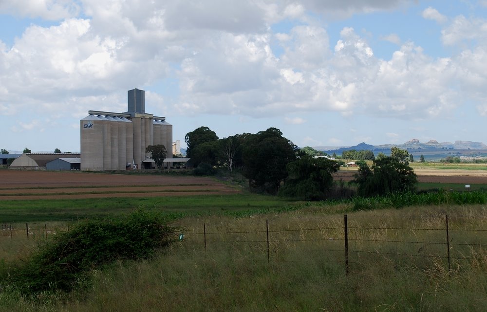 Grain Elevator at Clocolan by ossewa