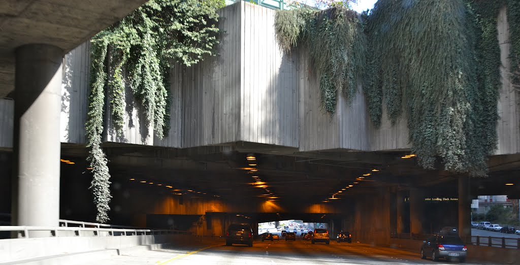 Tunnel under Central Business District, Seattle, Washington by Buddy Rogers