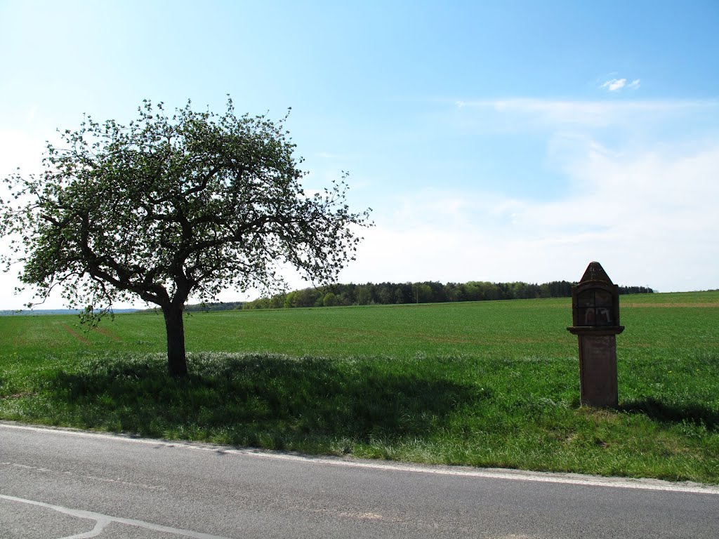 Bildstock (1867) zwischen Neunkirchen und Richelbach by lebola