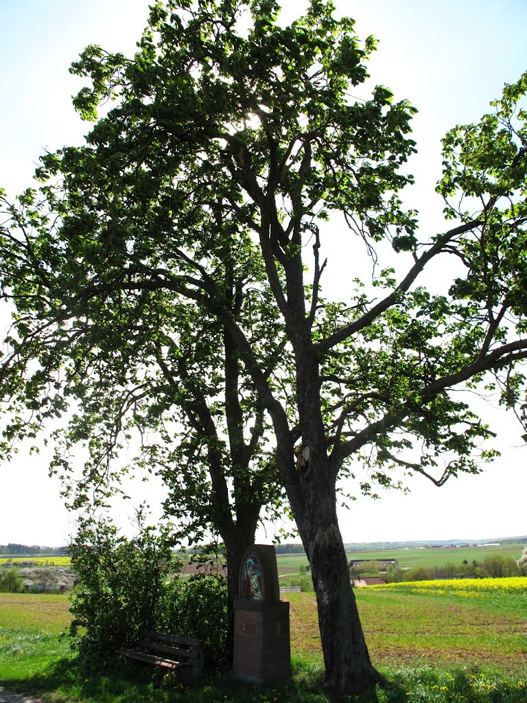 Bildstock mit Mosaik-Pieta (1856/ 1956) am Ortsrand von Richelbach (Richtung Neunkirchen) by lebola