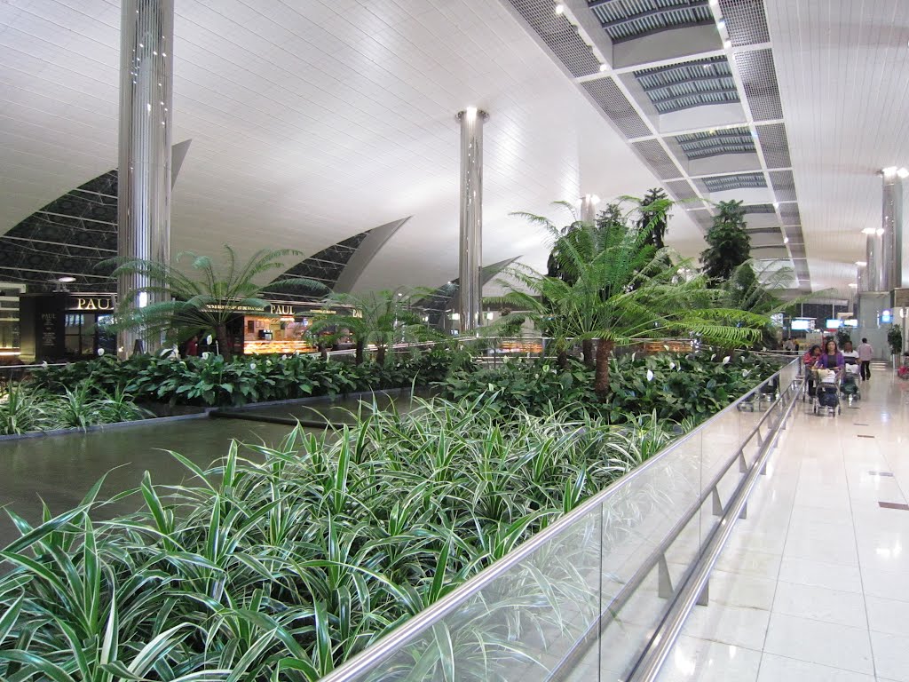 Dubai Airport by siavoosh