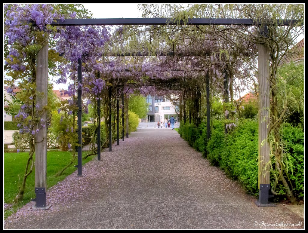 Souviens-toi de moi, Henri porte des lilas by Bernard Bozzard