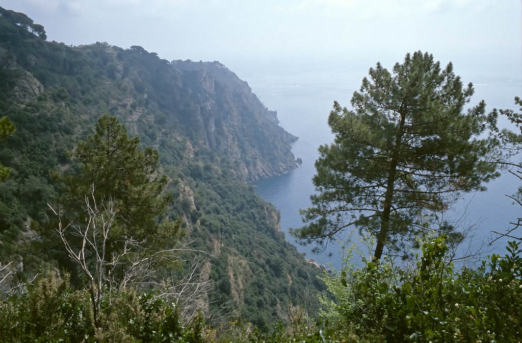 Portofino peninsula by Laurentt56