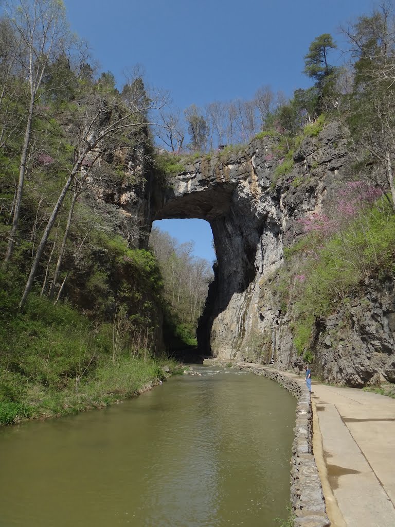 Natural Bridge Good TX10 by DieselDucy