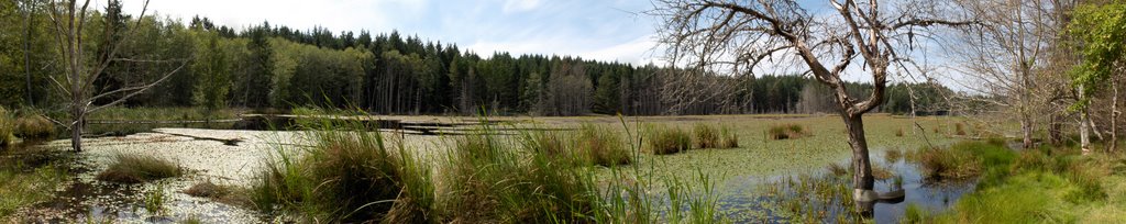 Lake at South Thormanby by kaibosh