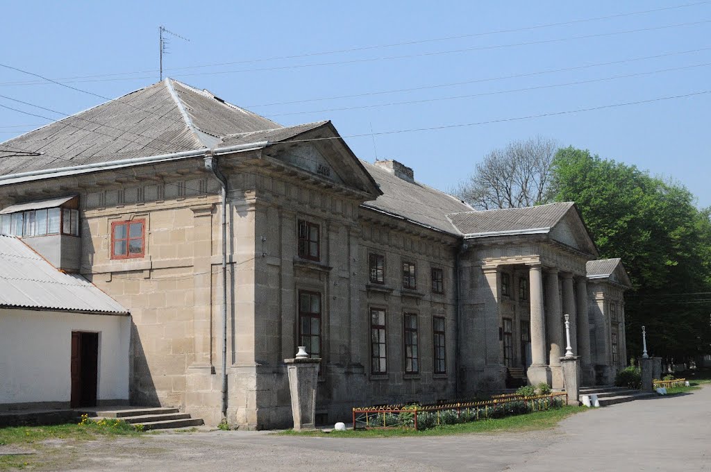 Pałac w Malejowcach / Malejowce palace by Michal Synowiec