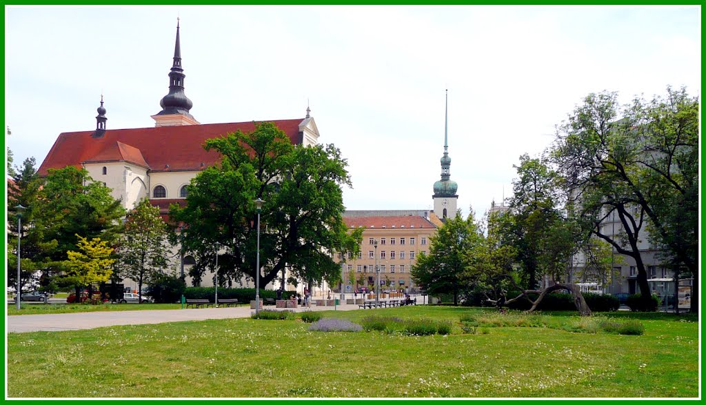 Brno zelené by Zdenek Mario