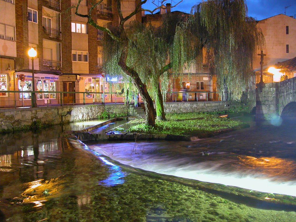 Vista noctura, sauce na plaza de S. Roque, Caldas de Reis by martinmg - 1