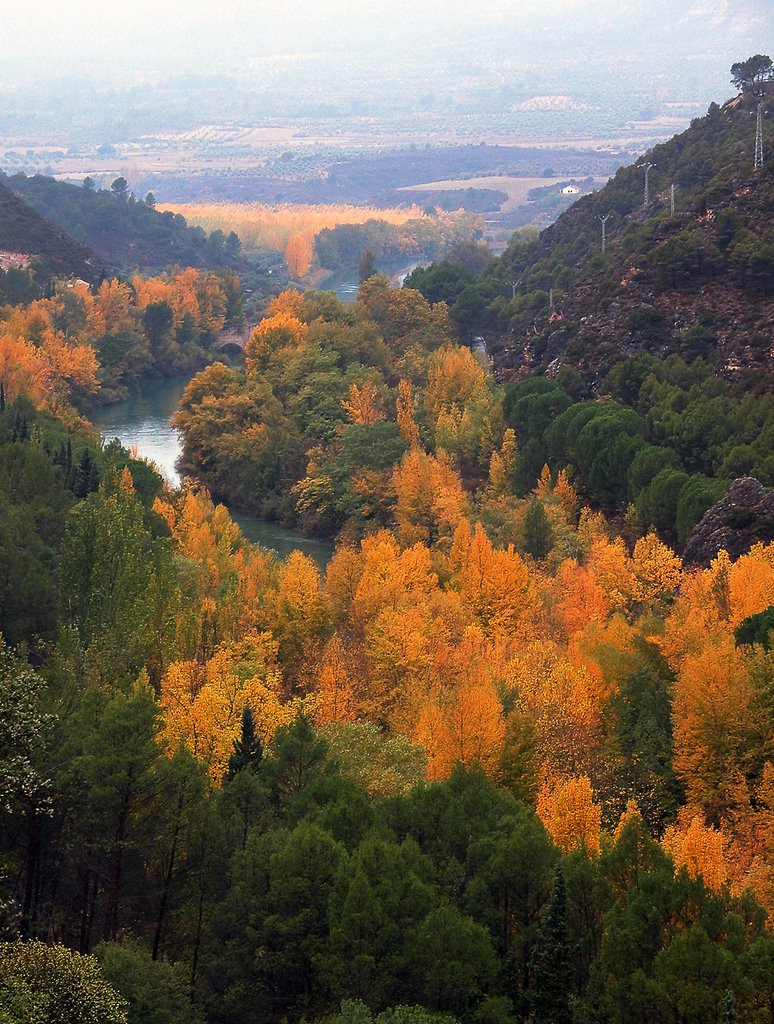 El Tajo desde el mirador by Mellado