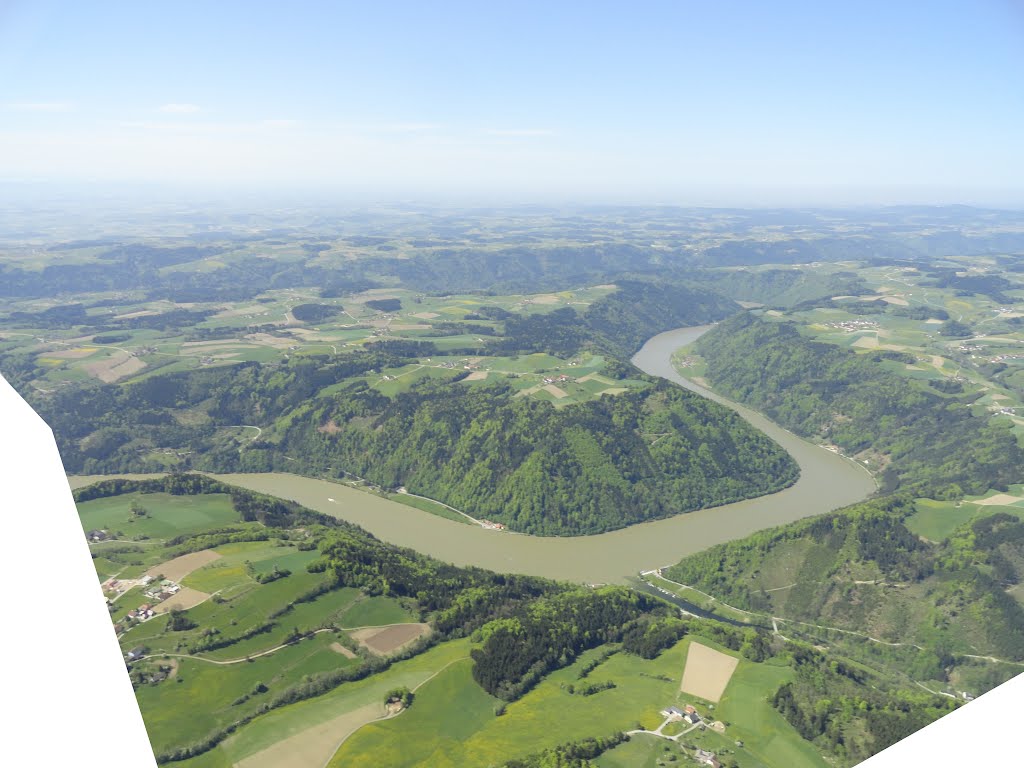 Donaubögen in der Nähe von Aschach by Thomas Esch