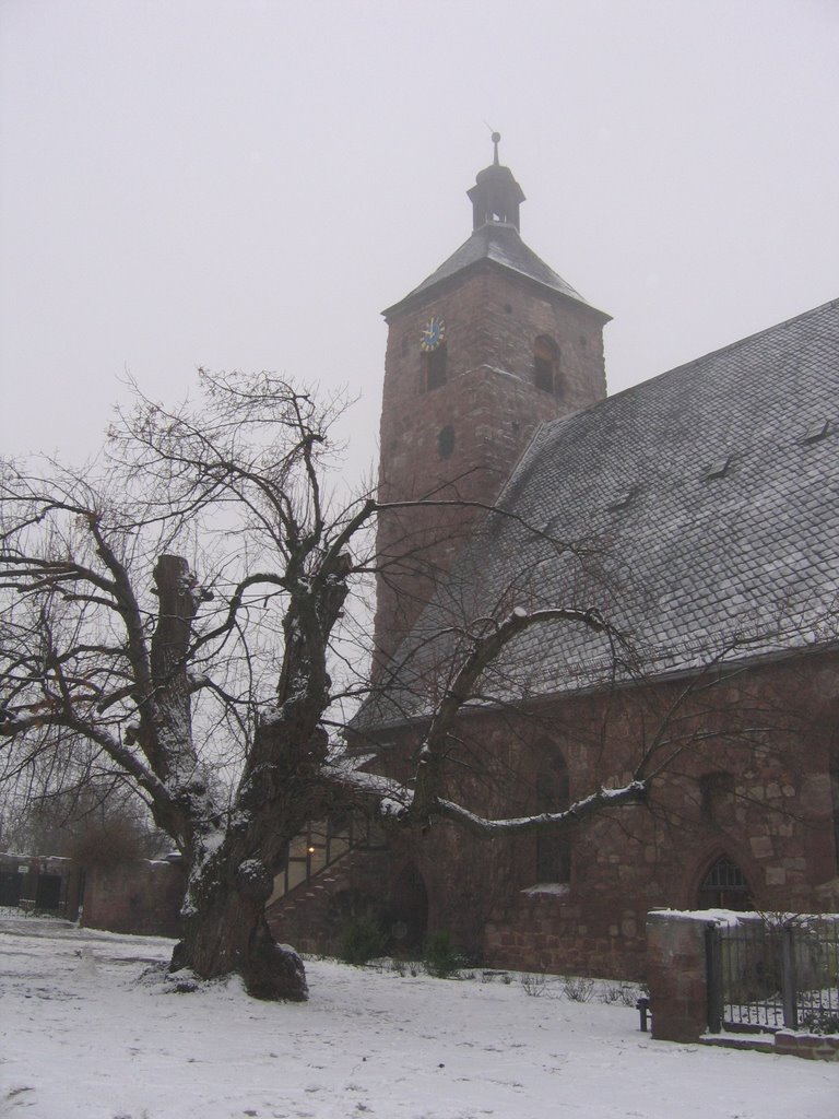 Sankt Georgii und seine Tausendjährige Linde, zu Kelbra am Kyffhäuser; im Winter by waldwind