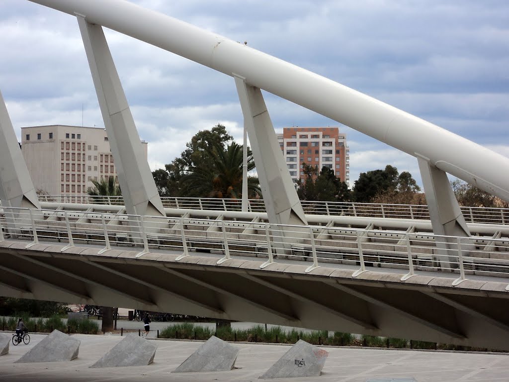 Passarella de l'Exposició, by Calatrava by RNLatvian