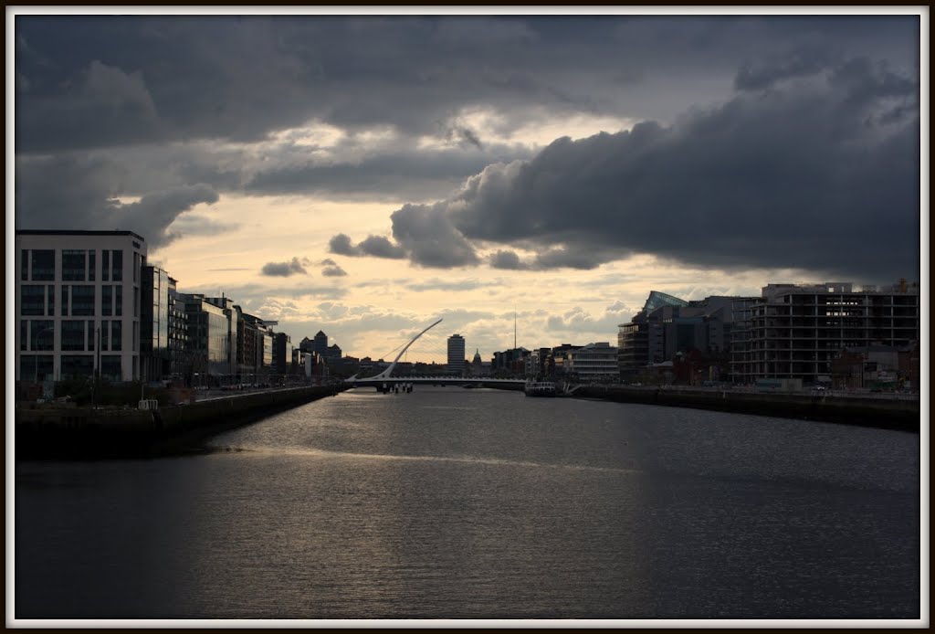 Dublinia. by noelfa