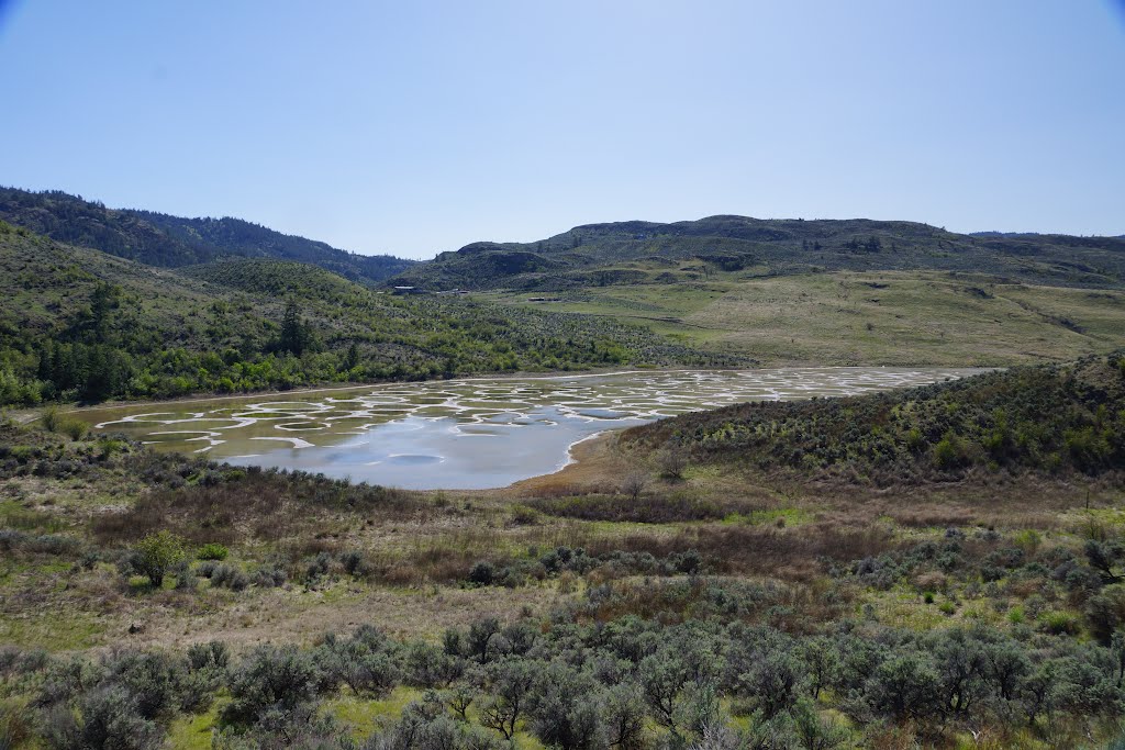 Spotted Lake by n7fsp