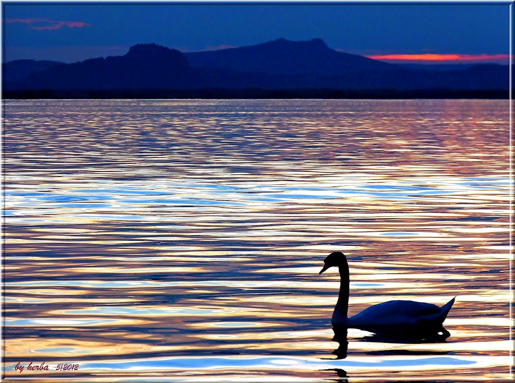 L'île de Reichenau, Les couleurs du lac by herba