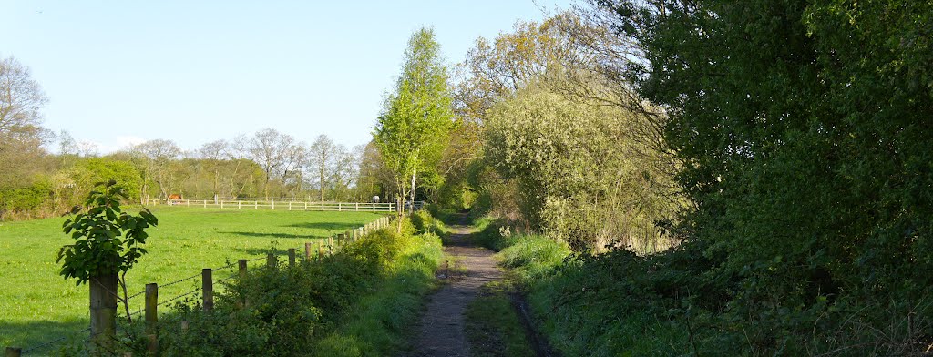 Footpath between Upcast Lane and Clay Lane by Dennis Neill