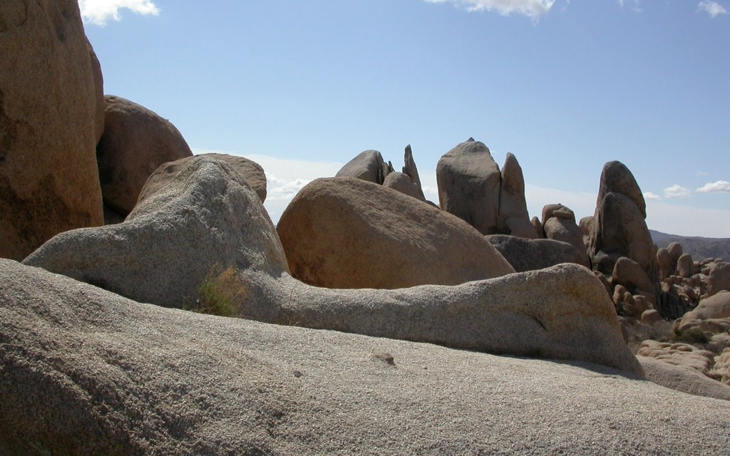 Joshua Tree NP, White Tank, View from Arch Rock by Max Richard