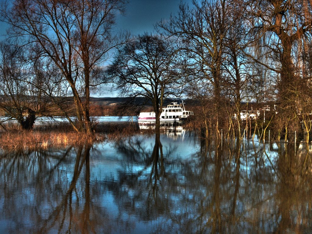 Budenheim - Rheinhochwasser 2003 by charlyfoxtrott