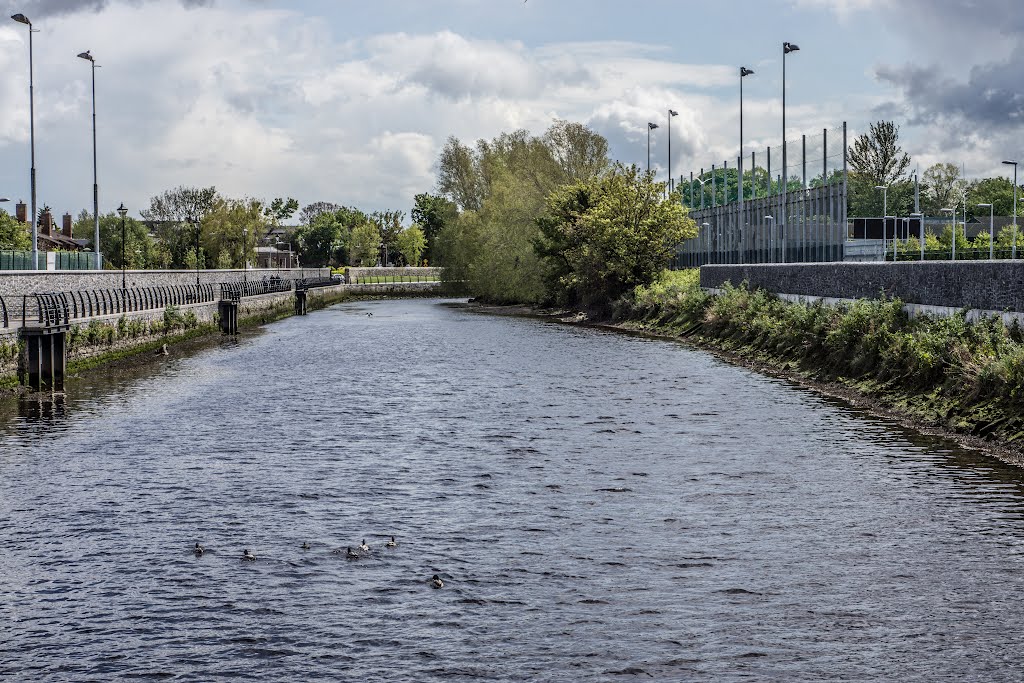 The River Dodder Near The Aviva Stadium by infomatique