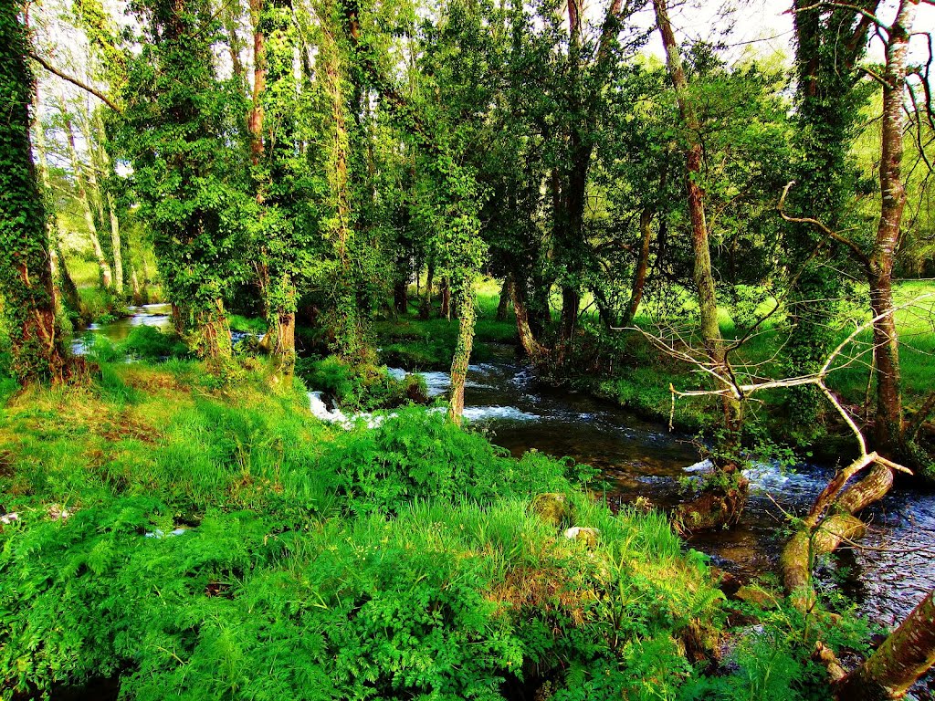 Paisaxe de Socamiño - (Vilarmaior) by fotocolocador