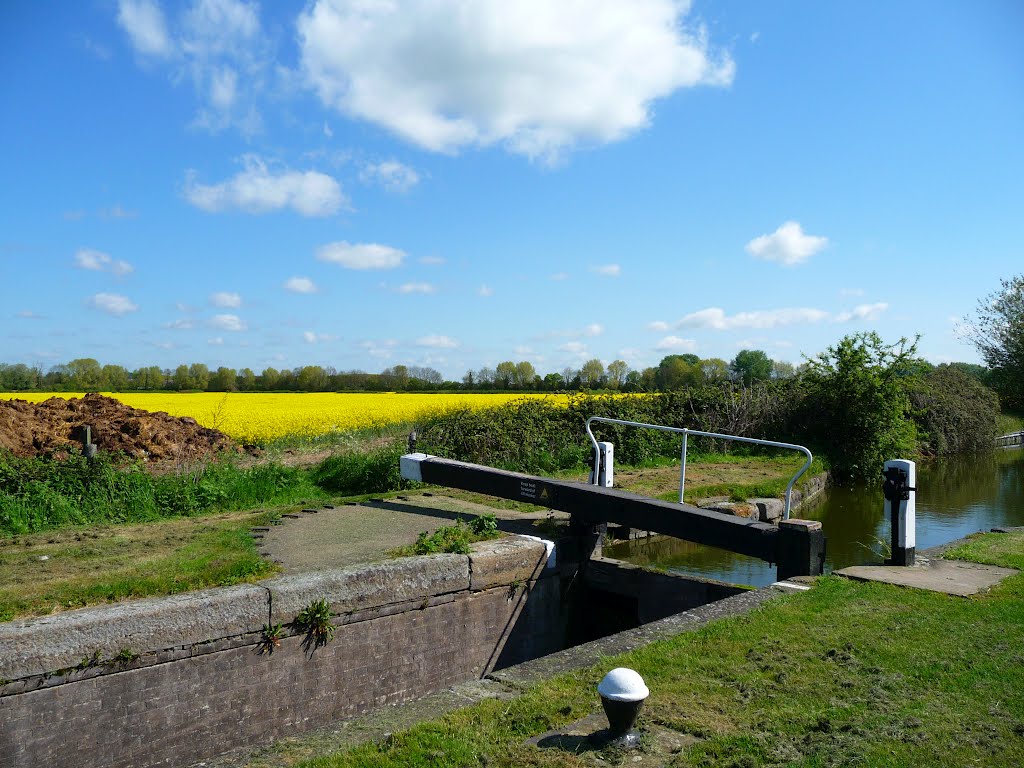 A single lock gate for a narrow lock on the Aylesbury arm of the Grand Union Canal by Nick Weall