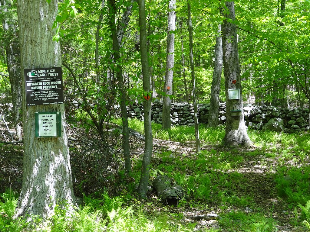 Elisabeth Luce Moore Nature Preserve by rogerking