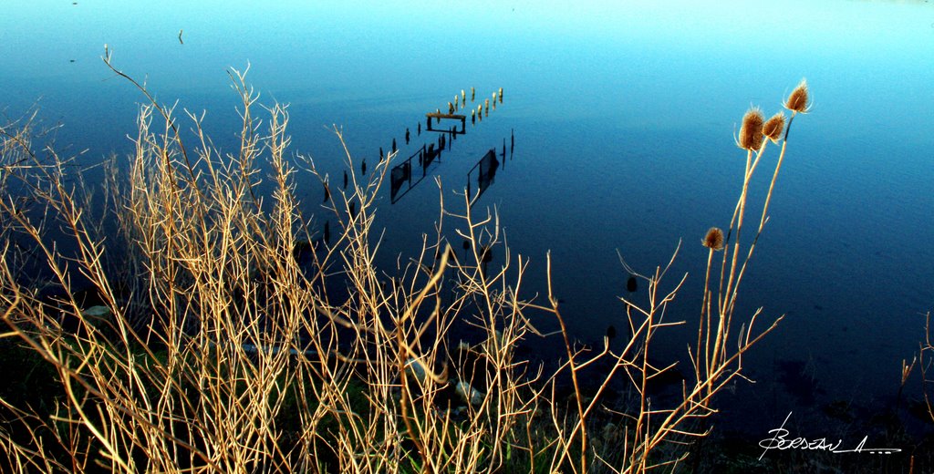 MARAIS D'YVES....CHARENTES MARITIMES...FRANCE. by BORDEAU Alain.(NO VI…