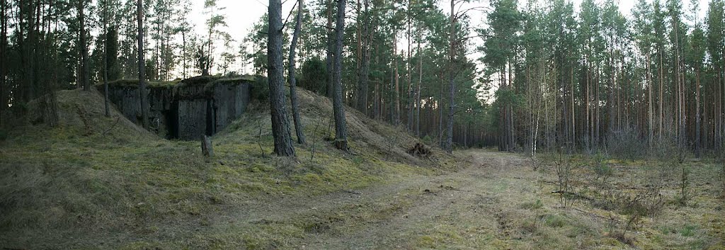 LINIA MOŁOTOWA - OSOWIECKI RU - CIEMNOSZYJE SCHRON NR 6 ( DO OGNIA CZOŁOWEGO DLA DWÓCH ARMAT 76,2 MM ( Ł-17 ) by Łukasz Świetlik