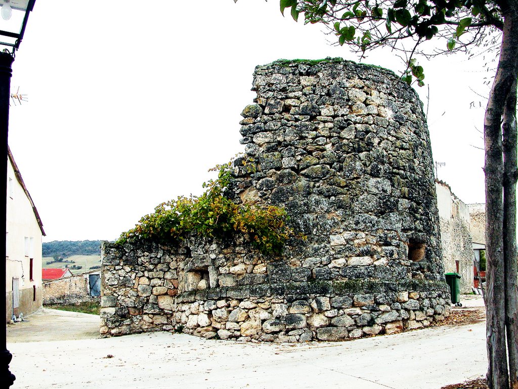 Torreón by Mellado