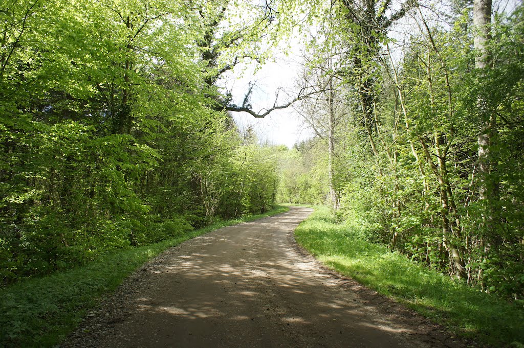 Aabenraa, 12. maj 2012 by papkassen