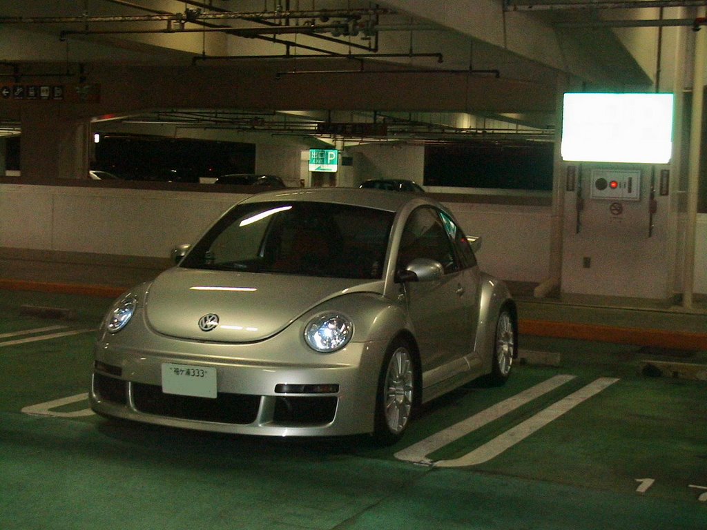 New Beetle RSI by Tanabe Ken