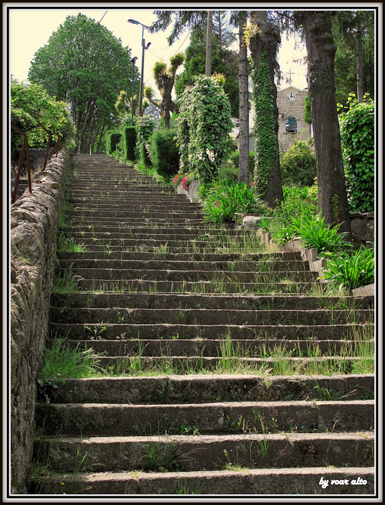 V.N.de Gaia,Escadaria S.Bartolomeu / steps hardly used by Voar Alto