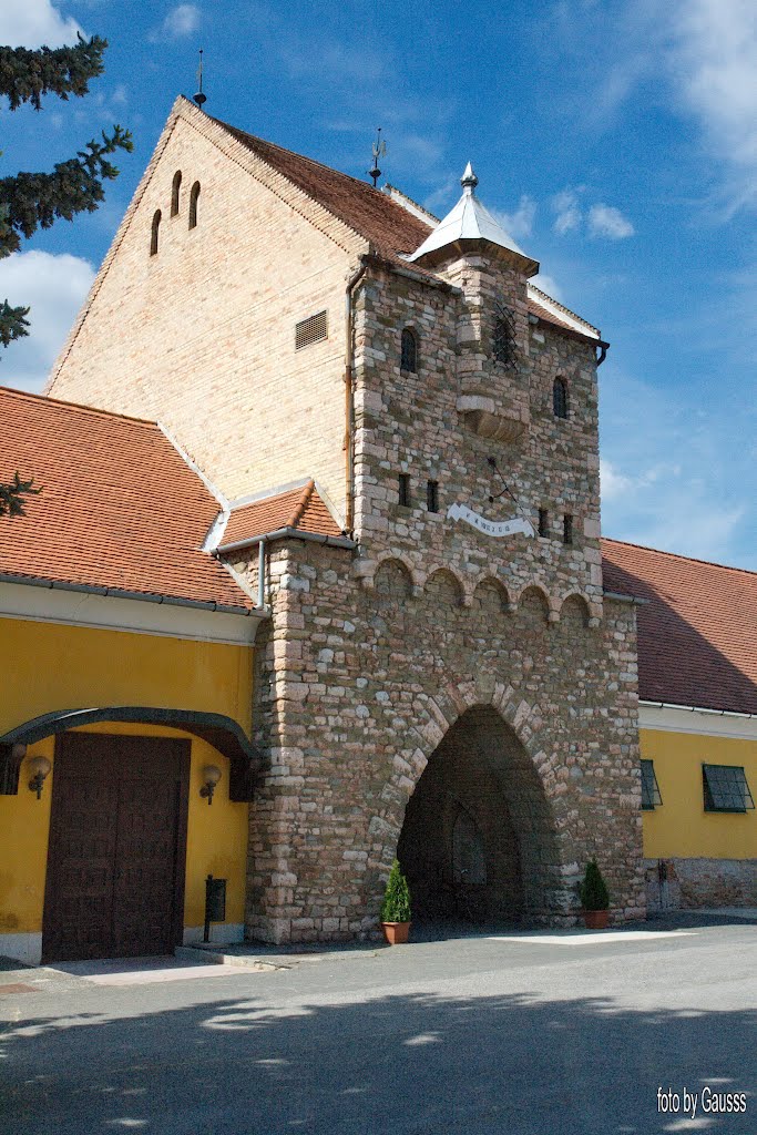 Bábolna, Hungary - (Babolna Stud) Bábolnai Ménes.Hungary by Gausss