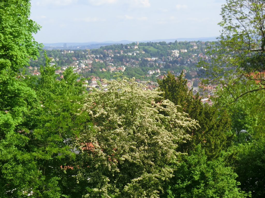 Stuttgart, Hasenberg, 13.05.2012 by Kristallkönig der Trübselige