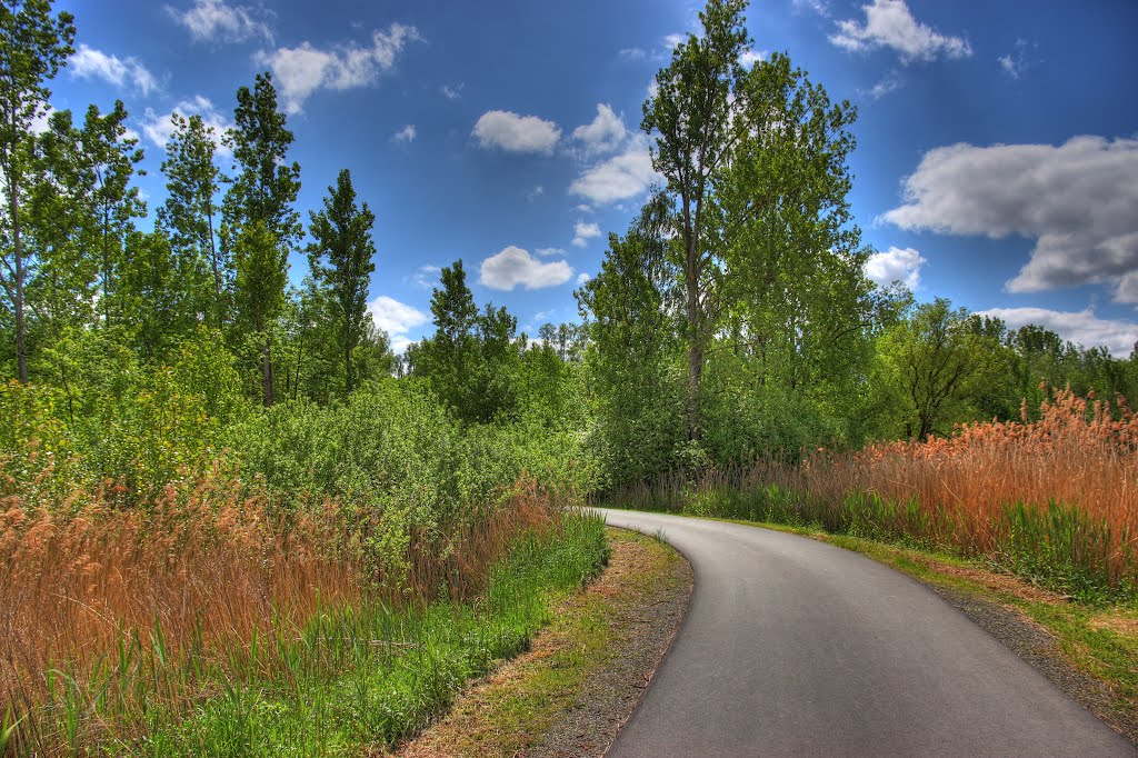 -Wölfersheim- Rundweg am See by Markus Freitag