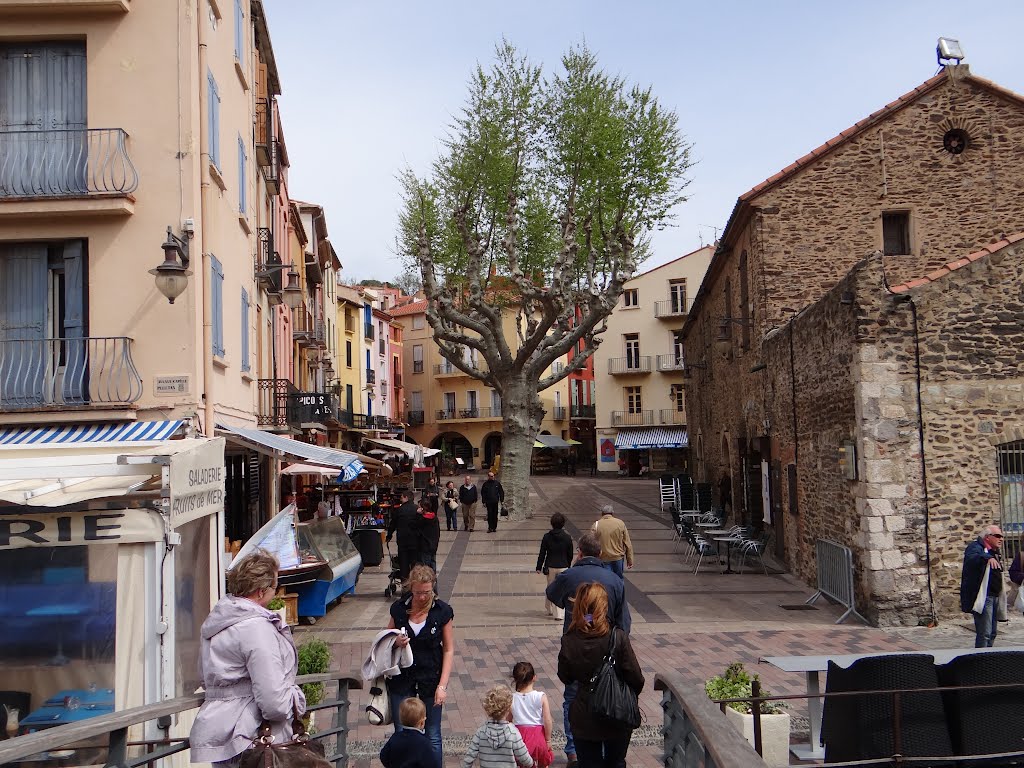 COLLIOURE - FRANCIA by Abdel Re