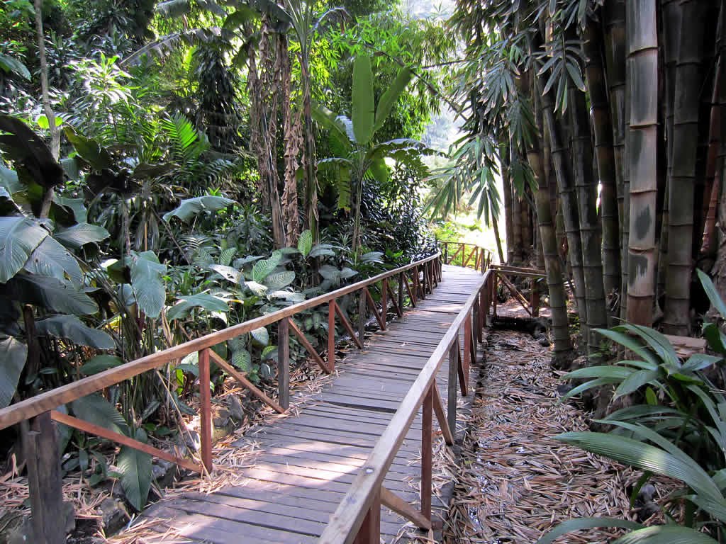 La Laguna Botanical Gardens by David Stanley