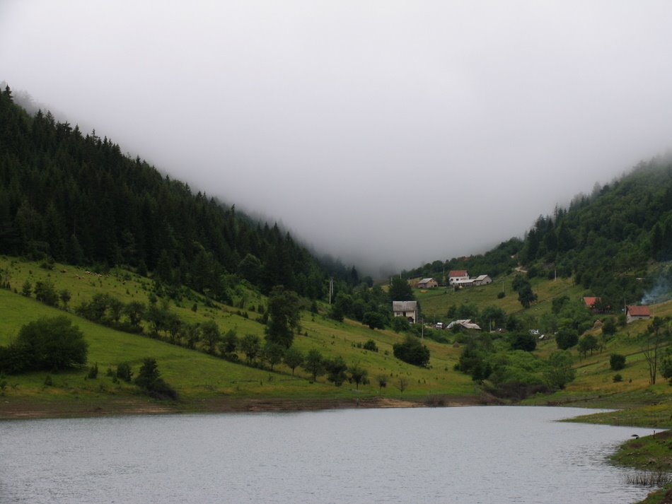 Jezero na planini Tari, Zaovine by Pešo Grgić