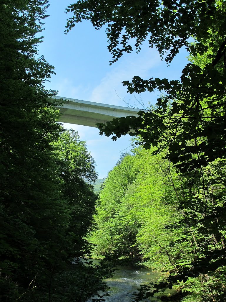 Higway bridge above the Kamačnik river 1. by Gábor Ligeti