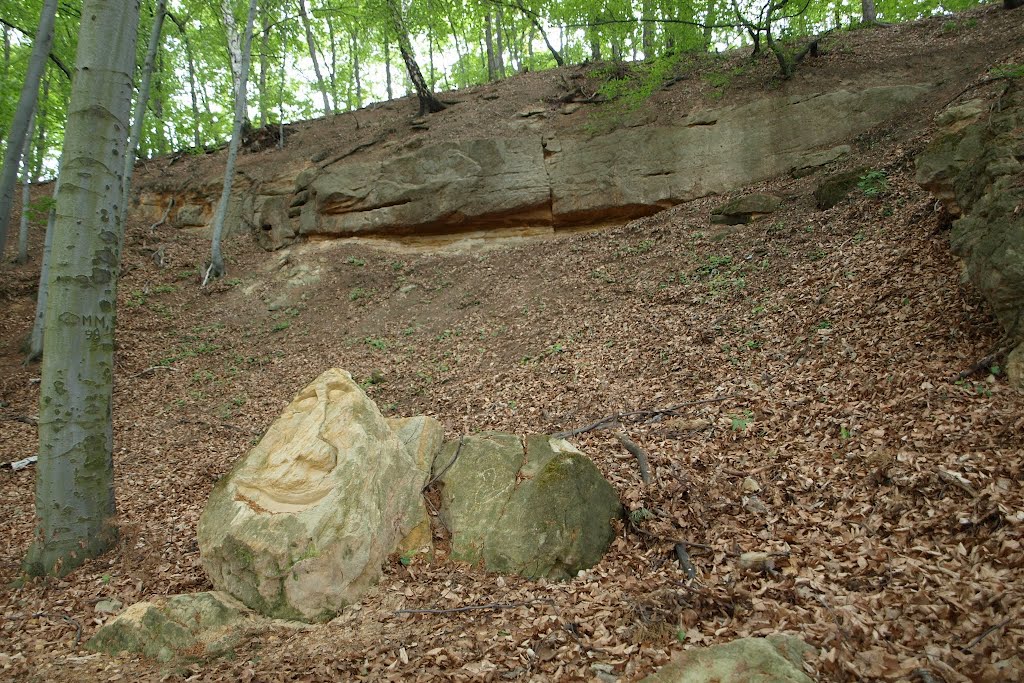 Pískovcové skalky nad ulicí Pod Novým lesem, Veleslavín by Pavel Kacl